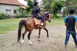 baa9da03-7535-4090-9037-8703c03458f1